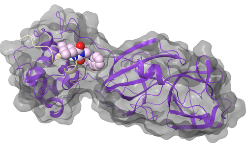nsp5 (Mpro) - Alpha Helix 5 Association Site