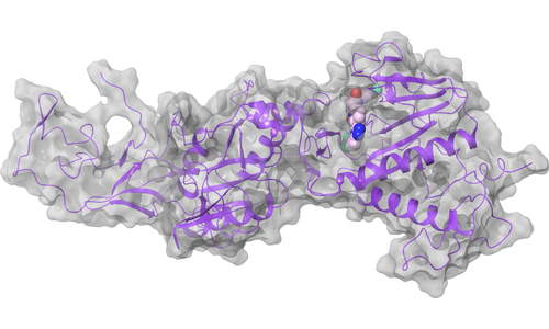 nsp14 (ExoN, N7-MTase) - N7-MTase Active Site