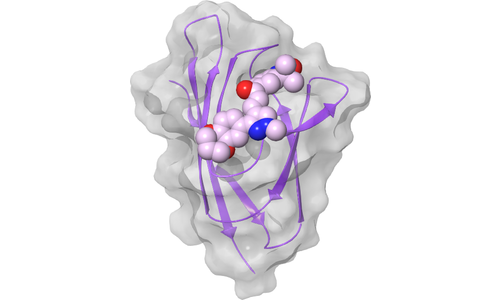 ORF7a - Entire Surface (Blind Docking)