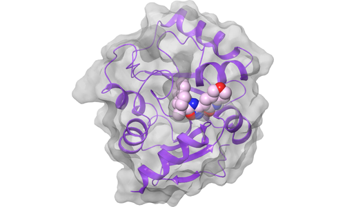 nsp3 - Macrodomain - Active Site