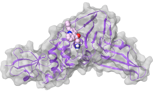 nsp3 - PLpro - Active Site
