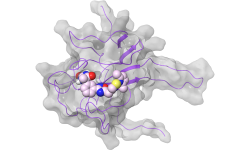 Nucleoprotein (N) - NTD Oligomerization Interface